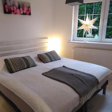 קודובה-זדרוי Mizerowka Guest House מראה חיצוני תמונה