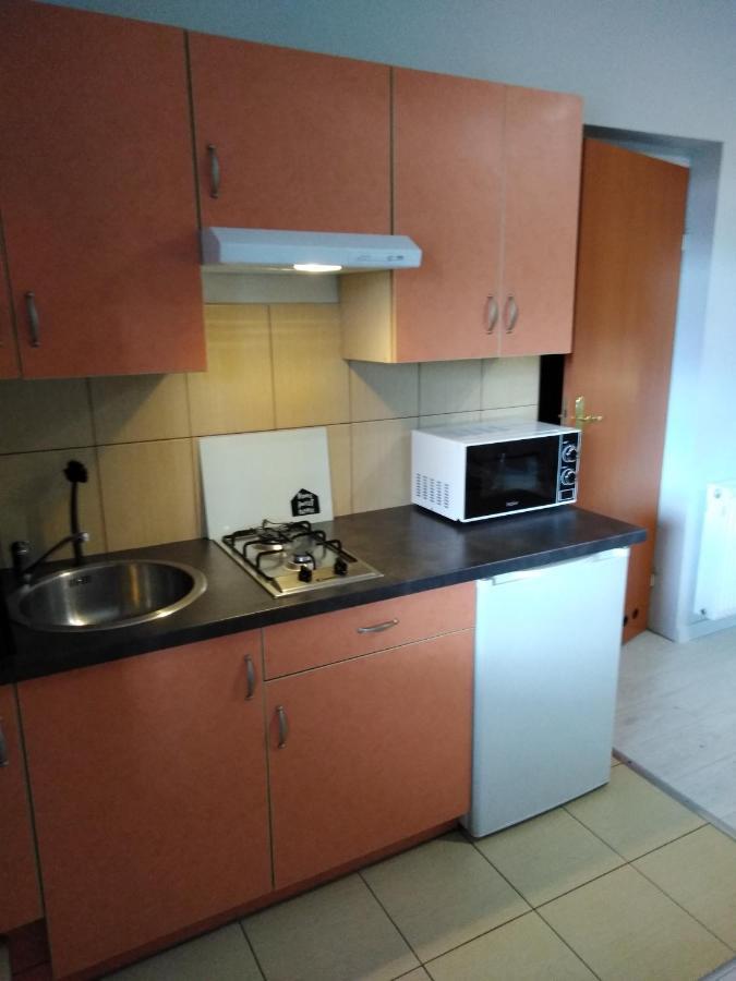 קודובה-זדרוי Mizerowka Guest House מראה חיצוני תמונה