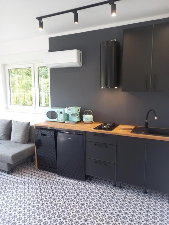 קודובה-זדרוי Mizerowka Guest House מראה חיצוני תמונה