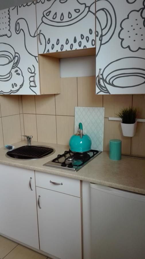 קודובה-זדרוי Mizerowka Guest House מראה חיצוני תמונה